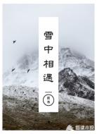 雪中相遇