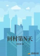 回村第N天