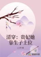 清穿：贵妃她靠生子上位
