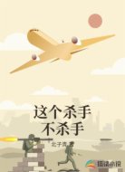 这个杀手不杀手