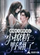 被残疾大佬娇宠后,小撩精野翻了