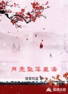 月亮坠落星海