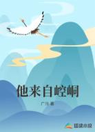 他来自崆峒