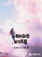 一颗璀璨的流星