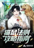 猫鼠法则攻略指南