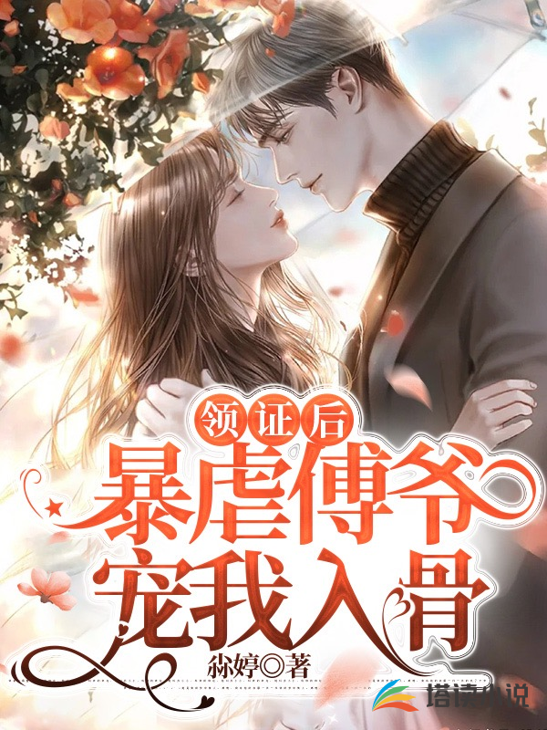 书名
