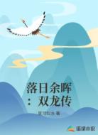 落日余晖:双龙传
