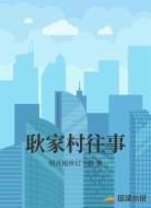 耿家村往事
