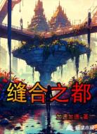 缝合之都