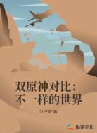 双原神对比:不一样的世界
