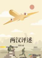 两汉评述