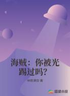 海贼:你被光踢过吗?