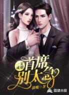一宠成婚:首席别太急