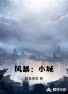 风暴：小城