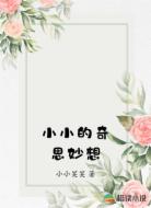 小小的奇思妙想
