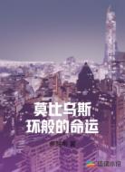 莫比乌斯环般的命运