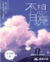 不想月亮
