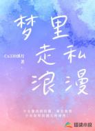 梦里走私浪漫