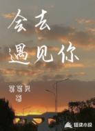 会去遇见你