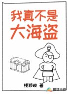 我真不是大海盗