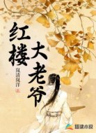 红楼大老爷