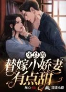 沈总的替嫁小娇妻有点甜