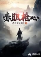 赤胆枪心