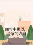 细雪中眺望，是家的方向