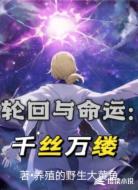 轮回与命运:千丝万缕