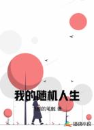 我的随机人生