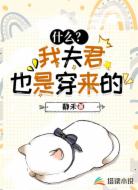 什么?我夫君也是穿来的