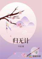 归无计