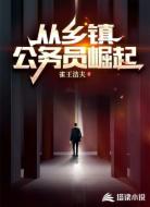 从乡镇公务员崛起