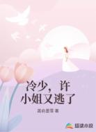 冷少，许小姐又逃了