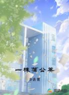 一株蒲公英