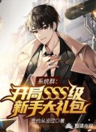 系统群:开局SSS级新手大礼包