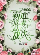 天才BB：霸道总裁追妻100次
