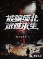 被骗缅北，艰难求生