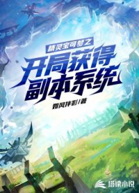 精灵宝可梦之开局获得副本系统