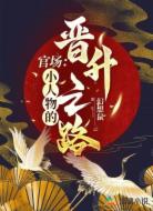 官场：小人物的晋升之路
