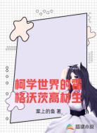 柯学世界的霍格沃茨高材生