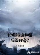 长姐被迫和亲后我称帝了