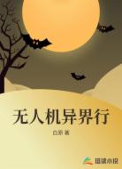 无人机异界行