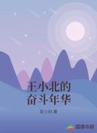 王小北的奋斗年华