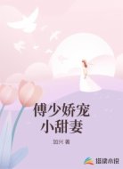 傅少娇宠小甜妻