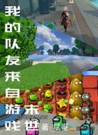 末世:我的队友来自游戏