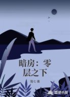 暗房：零层之下