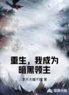 重生，我成为暗黑领主