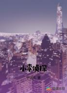 小李侦探