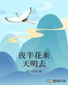 夜半花來天明去